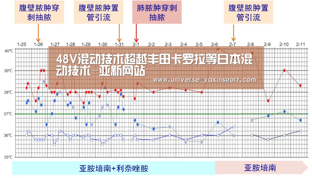 亚新网站
