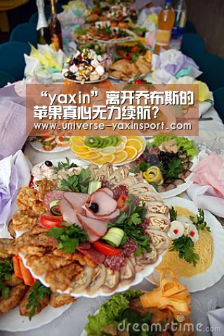 亚新网站