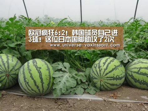 欧冠疯狂6:2!韩国球员自己进3球!这位日本国脚助攻了2次 球队赢得了一场大胜‘亚新体育’(图3) 亚新网站