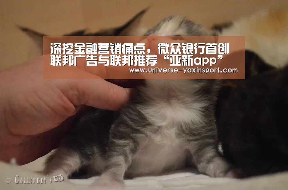 深挖金融营销痛点,微众银行首创联邦广告与联邦推荐“亚新app”(图2) 亚新体育
