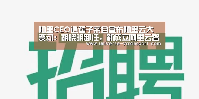 亚新网站