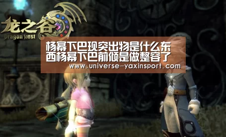 亚新网站