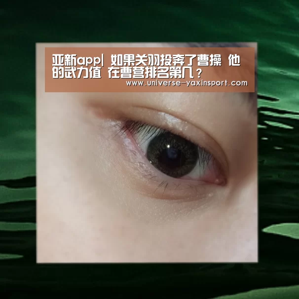 亚新官网